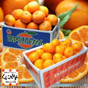 楽天市場 みかん 品種 みかん ポンカン 人気ランキング1位 売れ筋商品 楽天市場 みかん 品種 みかん ポンカン 人気ランキング1位 売れ筋商品